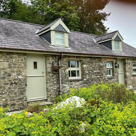 Villa Crug Yr Eryr Isaf à Llandysul Extérieur photo