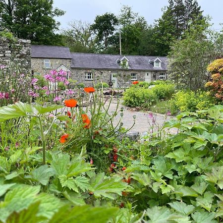 Villa Crug Yr Eryr Isaf à Llandysul Extérieur photo