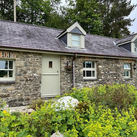 Villa Crug Yr Eryr Isaf à Llandysul Extérieur photo
