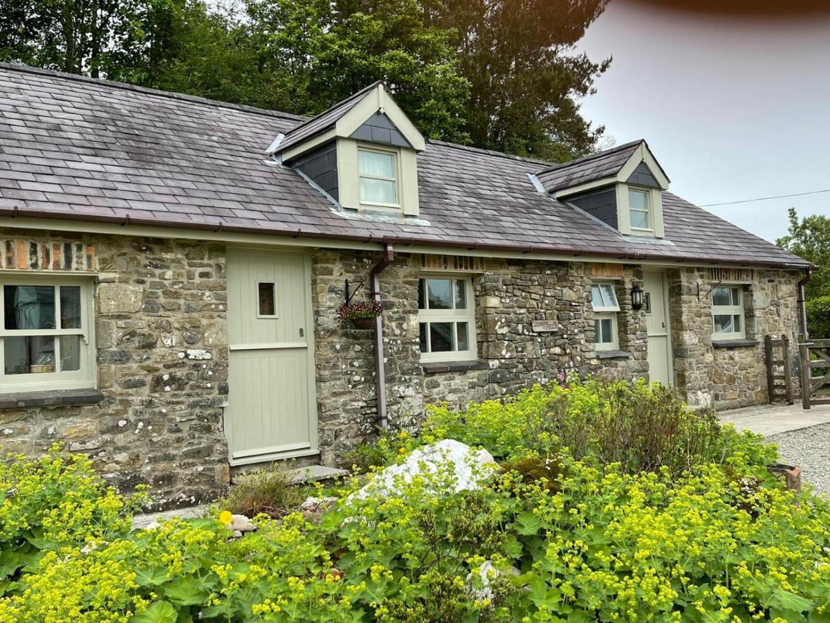 Villa Crug Yr Eryr Isaf à Llandysul Extérieur photo