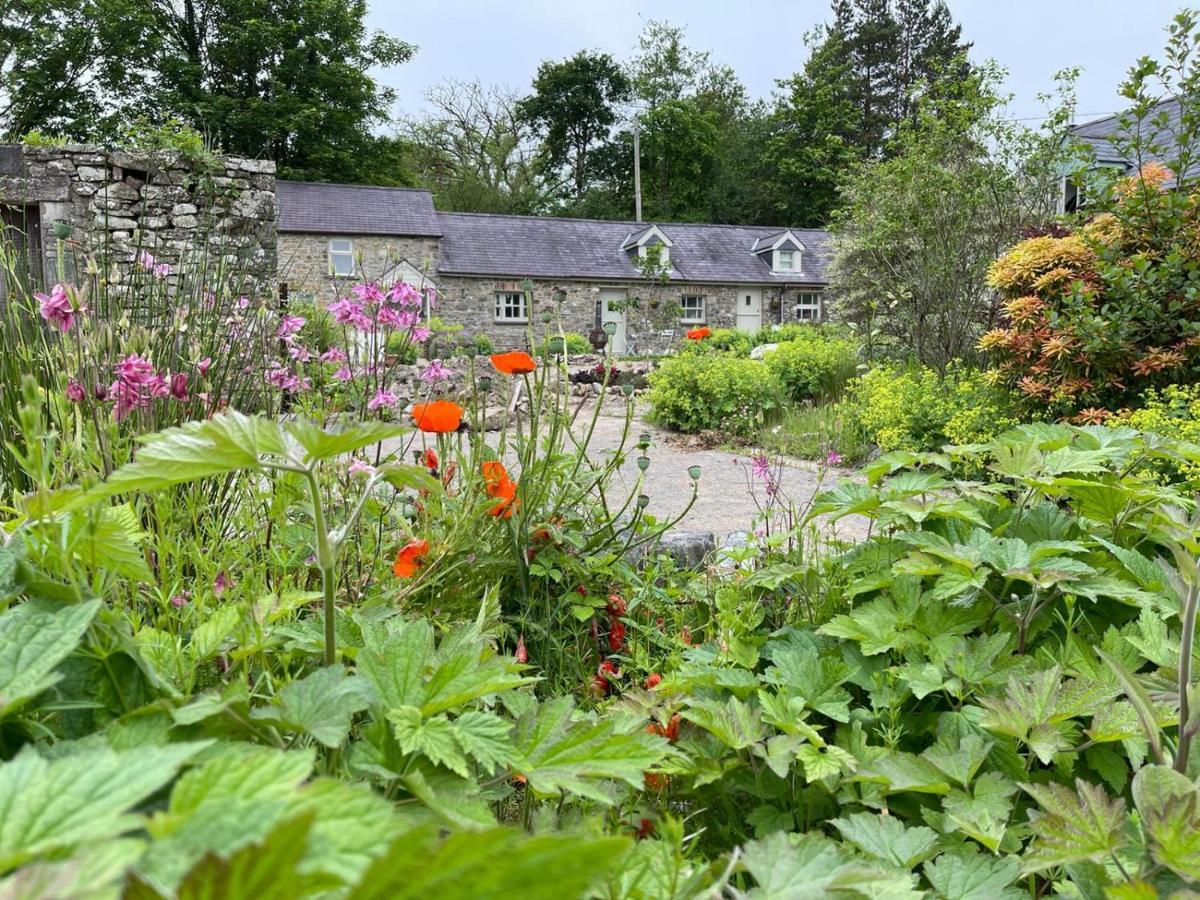 Villa Crug Yr Eryr Isaf à Llandysul Extérieur photo