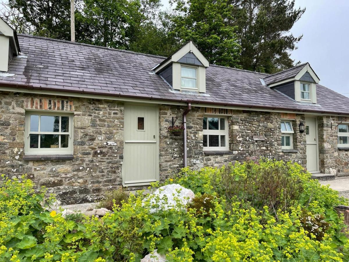 Villa Crug Yr Eryr Isaf à Llandysul Extérieur photo