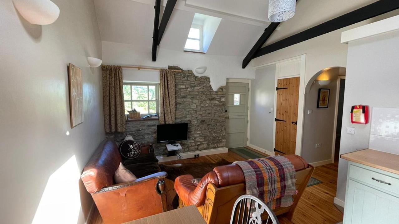 Villa Crug Yr Eryr Isaf à Llandysul Extérieur photo